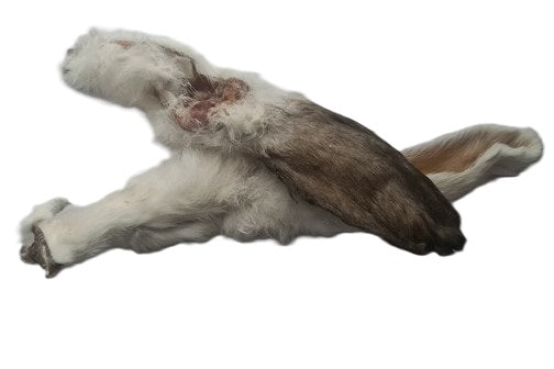 🐇 Rabbit Ears + fur/hair