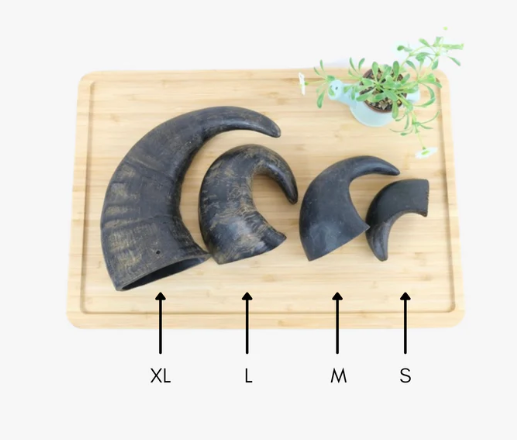Buffalo Horns