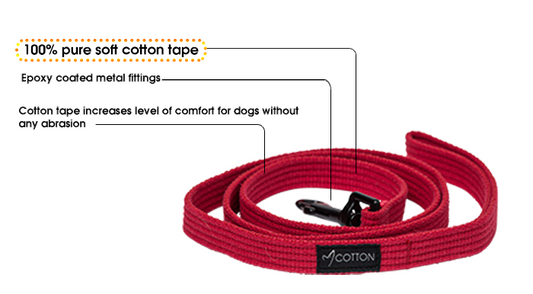 Cotton Lead 🐕‍🦺