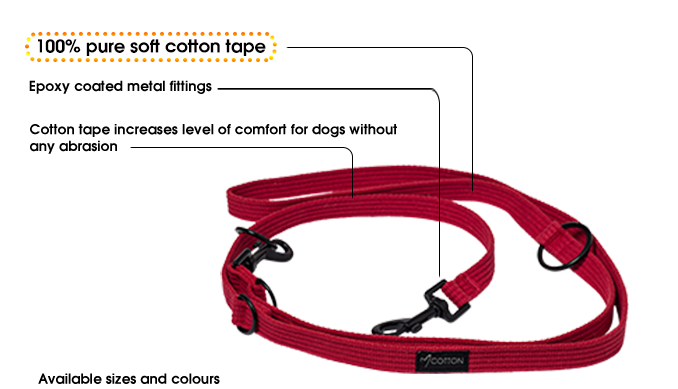 Cotton Training Lead