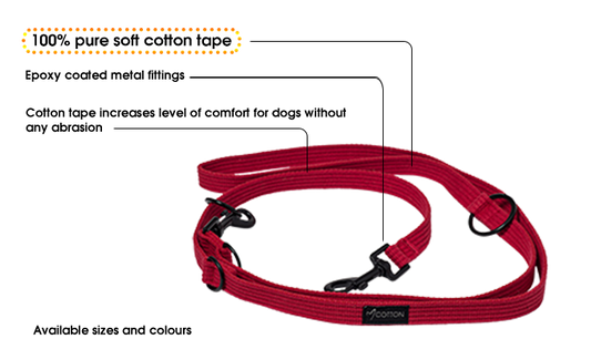 Cotton Training Lead