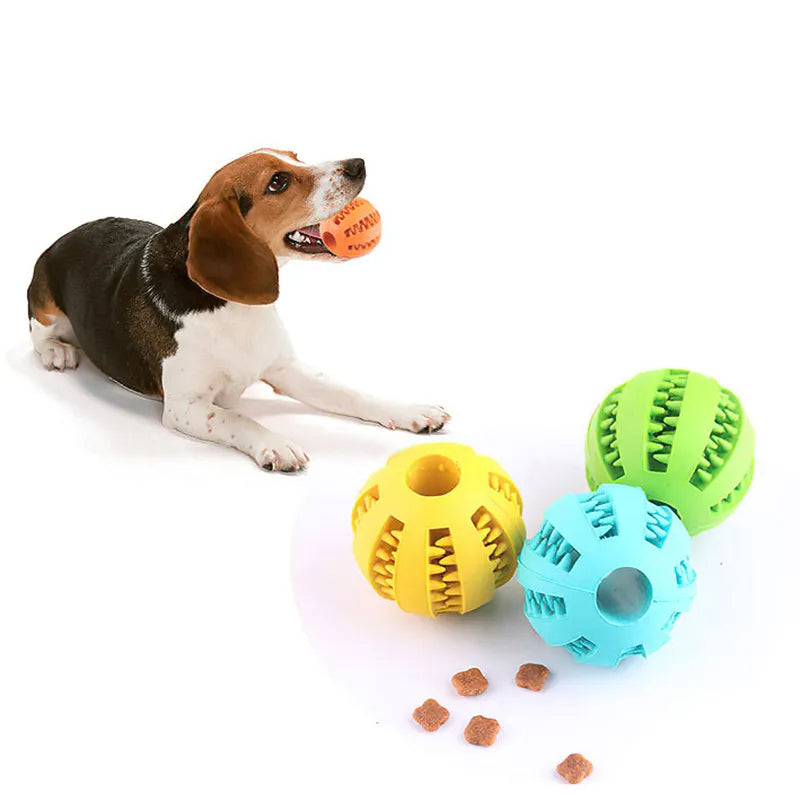 Mind Enrichment Chew Toy For Dogs 🐕